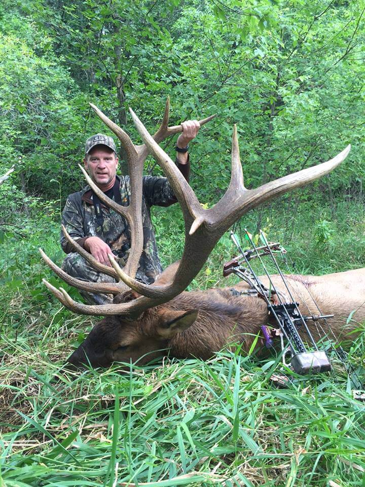 bio-elk